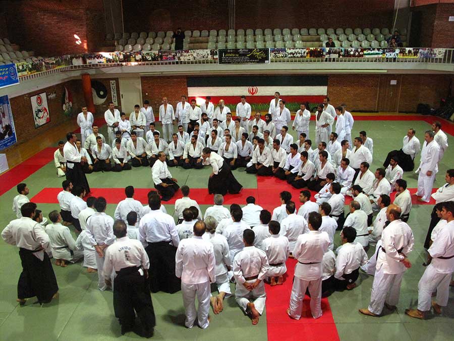 Great-Aikido-Seminar–1