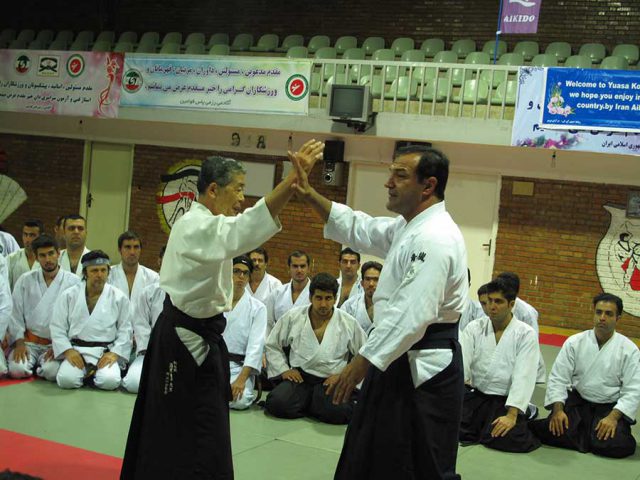 Great-Aikido-Seminar--16